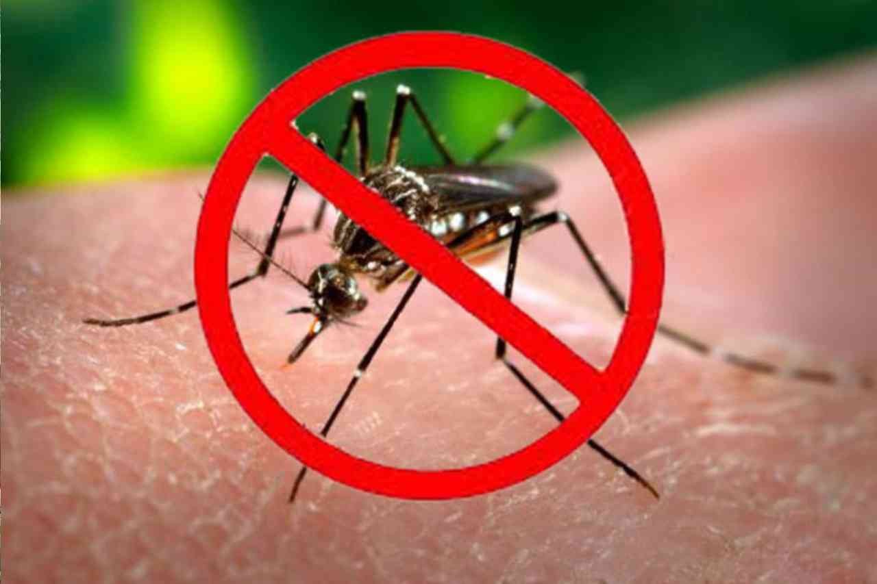 Waspada DBD, Plt Bupati Keluarkan Surat Edaran